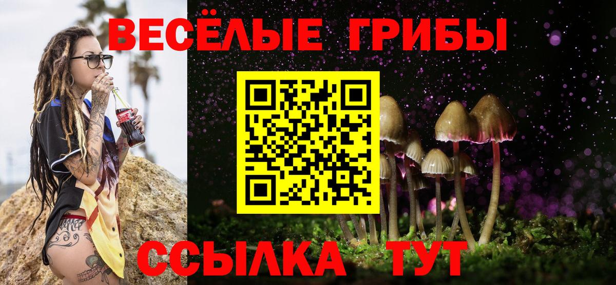 Псилоцибиновые грибы MAGIC MUSHROOMS Самара