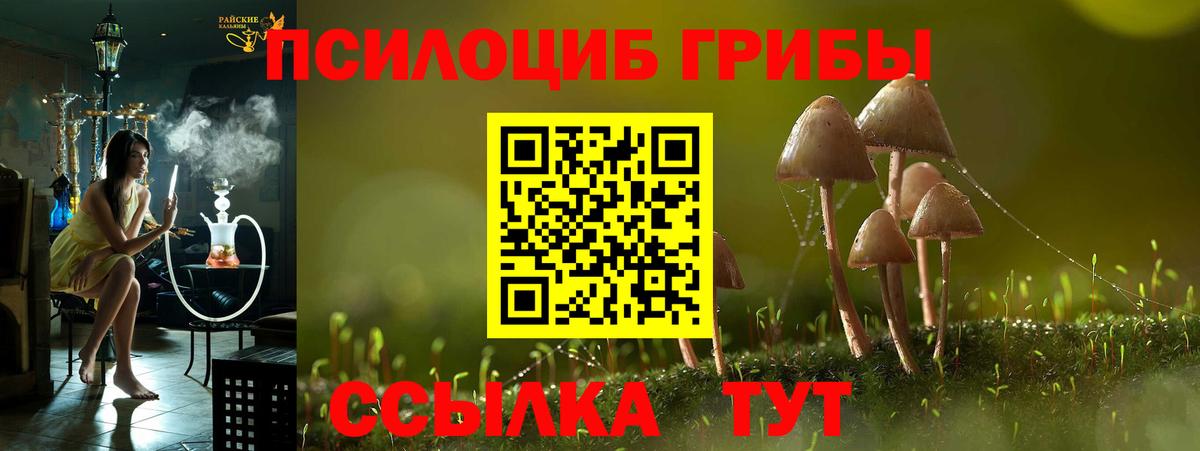 Галлюциногенные грибы мухоморы  Вход с VPN  что такое наркотик  Самара 